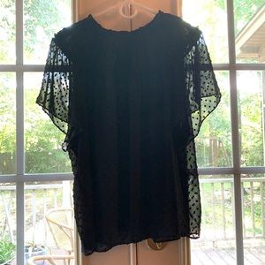 J Crew sheer Swiss dot top